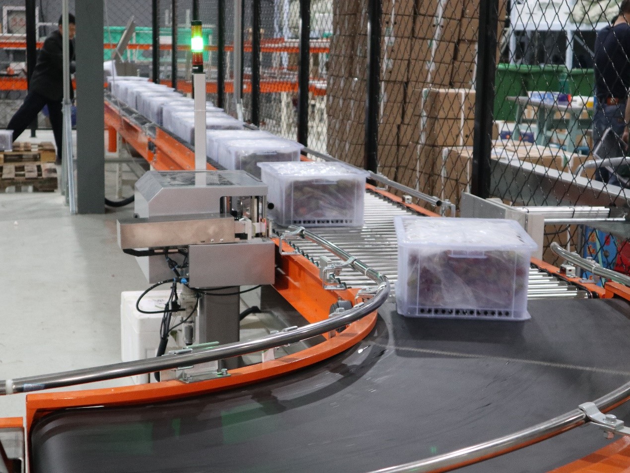 生鮮食品行業(yè)新項(xiàng)目竣工 | 蘇洪鮮食倉儲(chǔ)智能管理系統(tǒng)正式上線