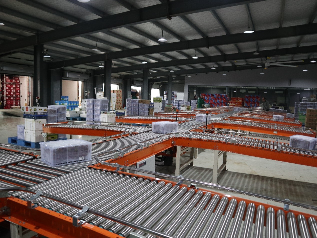 生鮮食品行業(yè)新項(xiàng)目竣工 | 蘇洪鮮食倉儲(chǔ)智能管理系統(tǒng)正式上線